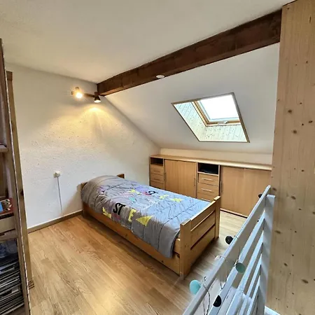 La Melusine - Joli Petit 2 Pieces En Sous Pente Pour 4 Personnes Mae-4064 Apartment Villard-de-Lans
